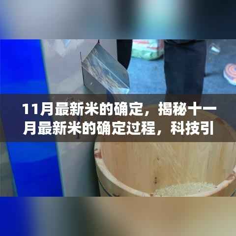 第2633页