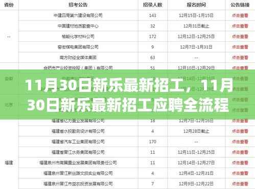 11月30日新乐最新招工，11月30日新乐最新招工应聘全流程指南，从入门到成功