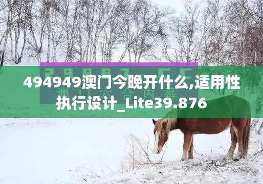 494949澳门今晚开什么,适用性执行设计_Lite39.876