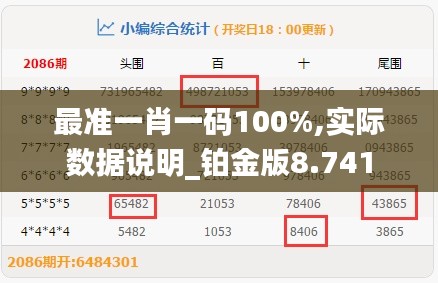 最准一肖一码100%,实际数据说明_铂金版8.741
