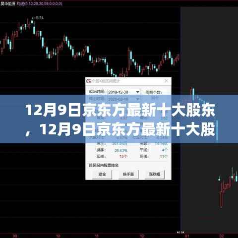 揭秘京东方最新十大股东,股权结构深度解析与发展前景展望