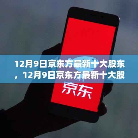 揭秘京东方最新十大股东,股权结构深度解析与发展前景展望