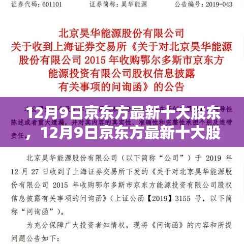 揭秘京东方最新十大股东,股权结构深度解析与发展前景展望