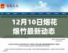 烟花璀璨迎新篇，学习变化带来的自信与成就感，点燃正能量火花——最新动态报道