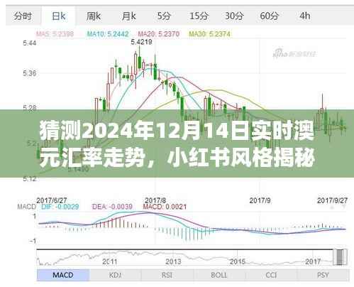 小红书揭秘，预测未来澳元汇率走势，解读2024年12月14日澳元汇率动态及走势分析