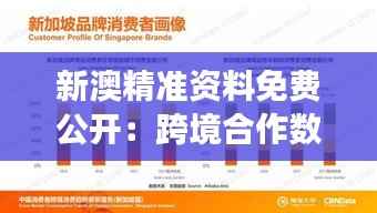 新澳精准资料免费公开：跨境合作数据共享洞察