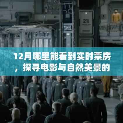 十二月追寻实时票房奇迹，电影与自然美景交融的圣地