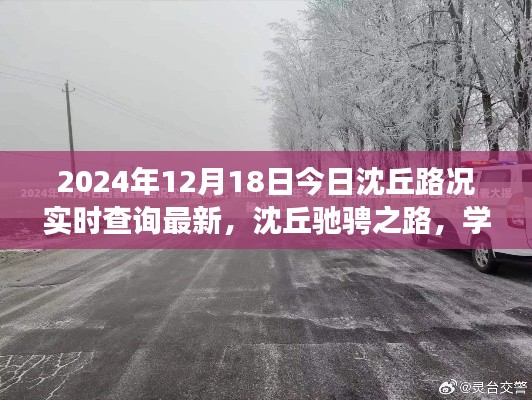撺哄鸟乱