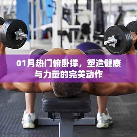 俯卧撑塑造健康与力量,一月热门锻炼动作