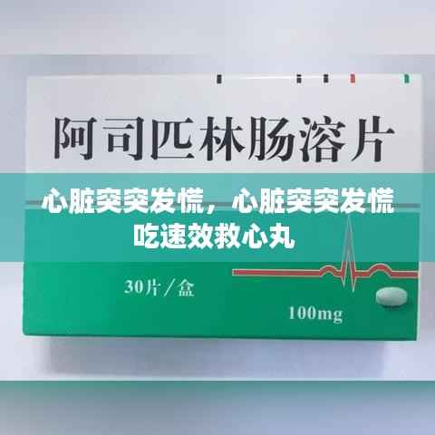 意气风发
