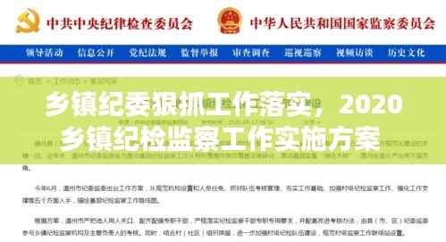 乡镇纪委狠抓工作落实，2020乡镇纪检监察工作实施方案 