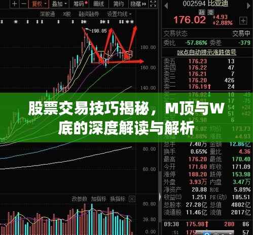 股票交易技巧揭秘,M顶与W底的深度解读与解析