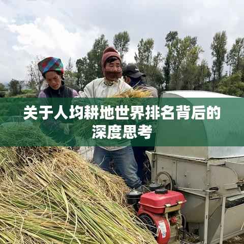 关于人均耕地世界排名背后的深度思考