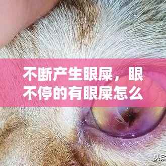 不断产生眼屎，眼不停的有眼屎怎么回 