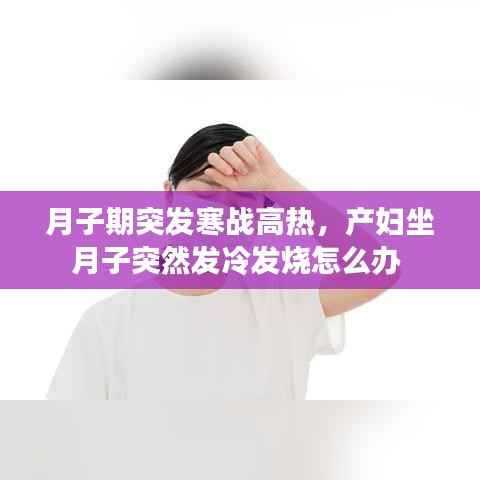 文质彬彬