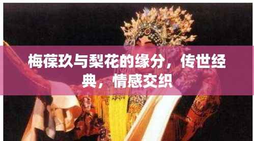 梅葆玖与梨花的缘分，传世经典，情感交织