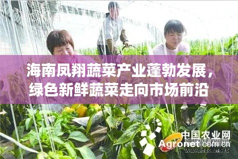 钗荆裙布