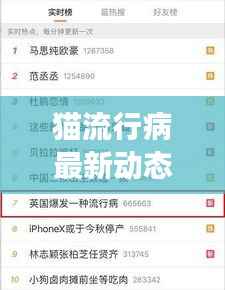 猫流行病最新动态揭秘,关注宠物健康,了解最新疫情趋势